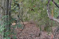 Land for sale in Hardin County, Texas