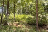 Land for sale in San Jacinto County, Texas