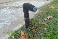 Land for sale in Harris County, Texas