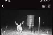 Land for sale in Trinity County, Texas