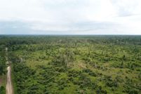 Land for sale in Newton County, Texas