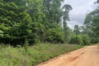 Undeveloped Land for sale in Polk County, Texas