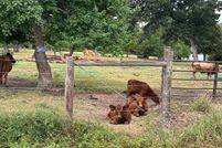 Land for sale in Waller County, Texas