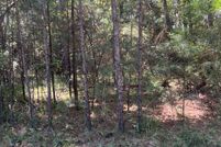 Land for sale in San Jacinto County, Texas