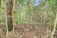 Land for sale in San Jacinto County, Texas