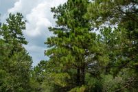 Land for sale in Leon County, Texas