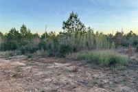 Land for sale in Bastrop County, Texas