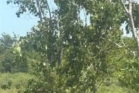 Land for sale in Galveston County, Texas