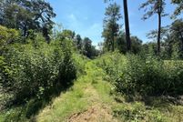 Land for sale in Montgomery County, Texas