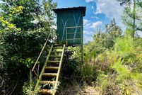 Land for sale in Polk County, Texas