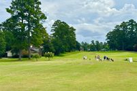 Land for sale in Montgomery County, Texas