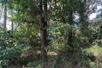 Land for sale in San Jacinto County, Texas