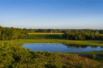 Land for sale in Colorado County, Texas