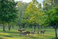 Waterfront Property for sale in Harris County, Texas