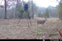 Land for sale in Pittsburg County, Oklahoma