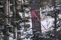 Land for sale in Grafton County, New Hampshire