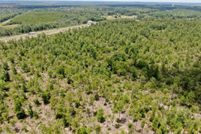 Timberland Property for sale in Washington County, Florida