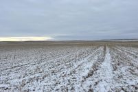Undeveloped Land for sale in Bowman County, North Dakota