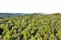 Homesite for sale in Forsyth County, Georgia