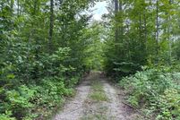 Land for sale in Presque Isle County, Michigan