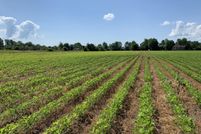 Land for sale in Wayne County, Michigan