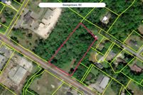 Land for sale in Georgetown County, South Carolina