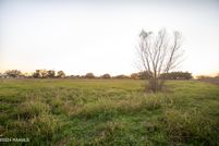 Land for sale in Acadia Parish, Louisiana