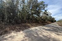 Land for sale in Levy County, Florida