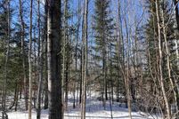 Undeveloped Land for sale in Oscoda County, Michigan