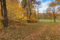 Land for sale in Douglas County, Minnesota