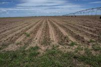 Land for sale in Lynn County, Texas