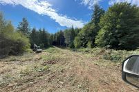 Timberland Property for sale in Lewis County, Washington