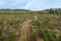 Land for sale in Lewis County, Washington