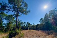 Land for sale in Levy County, Florida