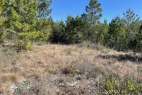 Land for sale in Washington County, Florida