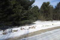 Land for sale in Portage County, Wisconsin