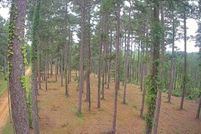 Land for sale in LaSalle Parish, Louisiana