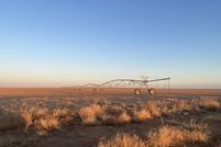 Land for sale in Gaines County, Texas