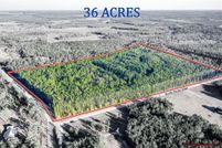 Land for sale in Ware County, Georgia