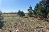 Land for sale in Leon County, Texas