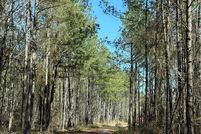 Undeveloped Land for sale in Rapides Parish, Louisiana