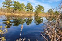 Homesite for sale in Bladen County, North Carolina