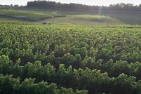 Commercial Property for sale in Leelanau County, Michigan