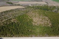 Land for sale in Pierce County, Georgia