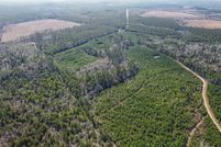 Land for sale in Polk County, Texas