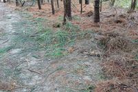 Land for sale in Westmoreland County, Virginia