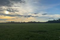 Land for sale in Escambia County, Alabama