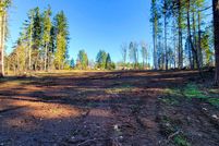 Homesite for sale in Lane County, Oregon