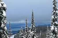 Homesite for sale in Bonner County, Idaho