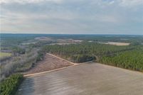 Land for sale in Wayne County, Georgia